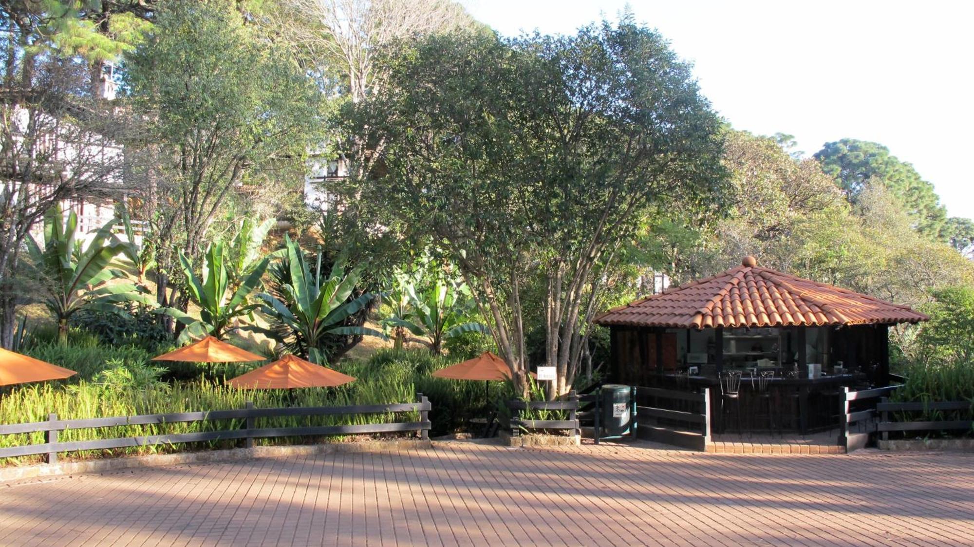 Monteverde Mazamitla Luaran gambar